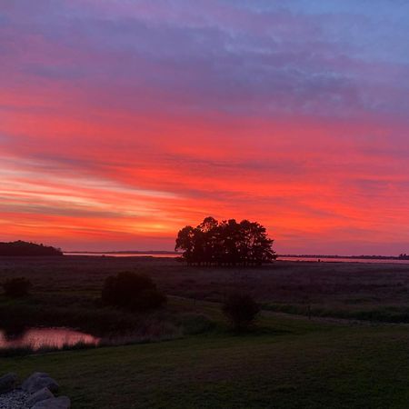 Pelican Point Sanctuary St Helens Zewnętrze zdjęcie
