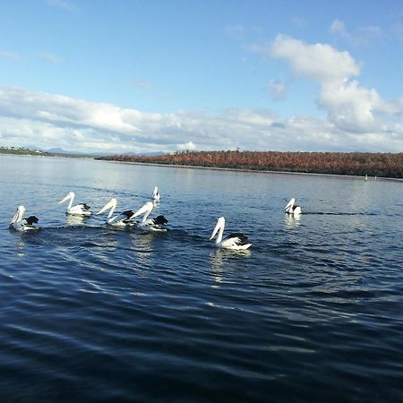 Pelican Point Sanctuary St Helens Zewnętrze zdjęcie