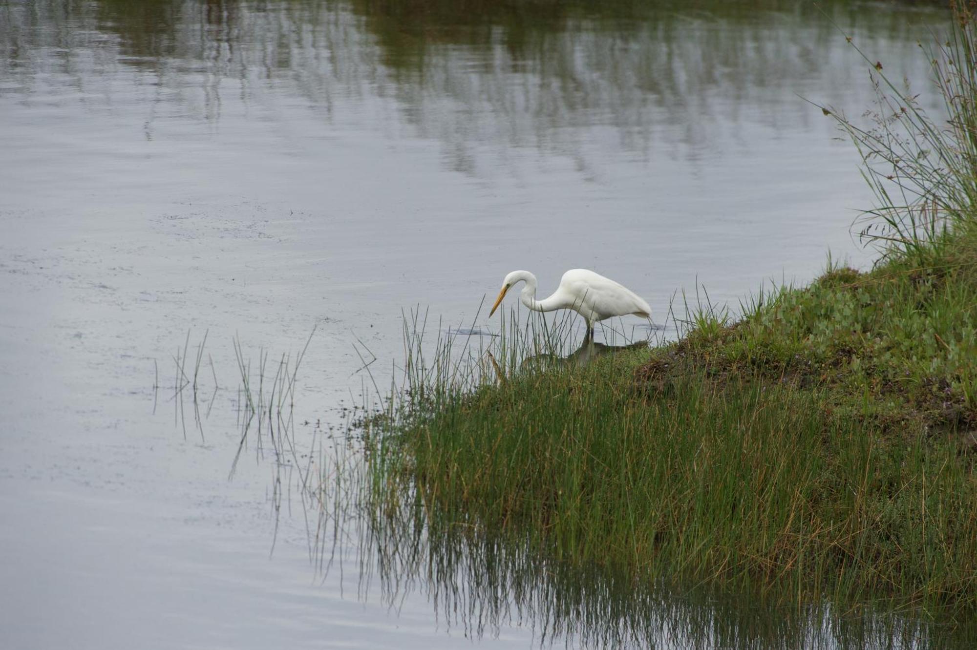 Pelican Point Sanctuary St Helens Zewnętrze zdjęcie
