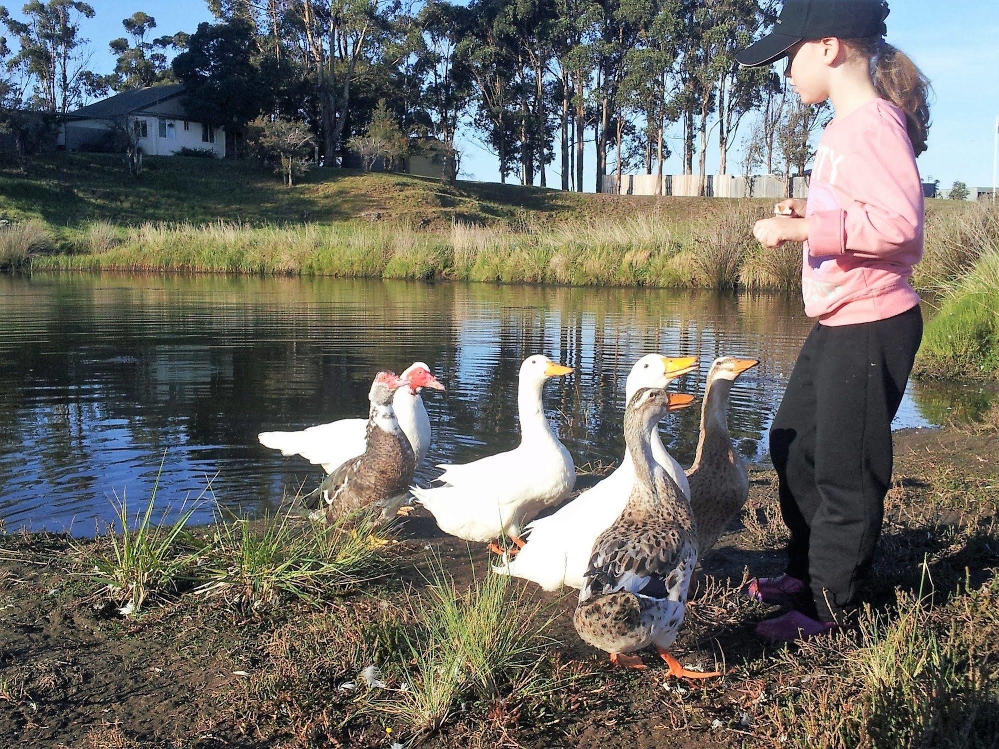Pelican Point Sanctuary St Helens Zewnętrze zdjęcie